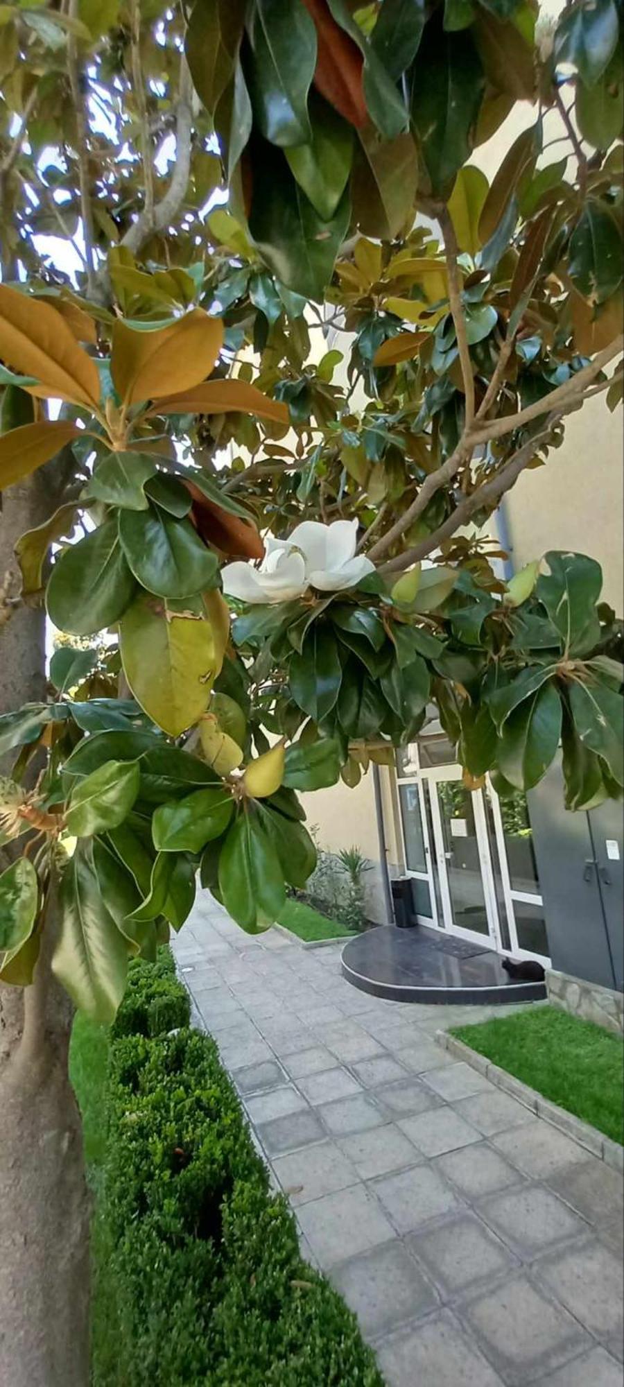 Anelia178 Apartamento Sunny Beach Exterior foto